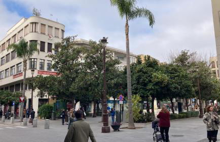 Casas de Sevilla - Apartamentos Magdalena Plaza Hábitats - Foto 27