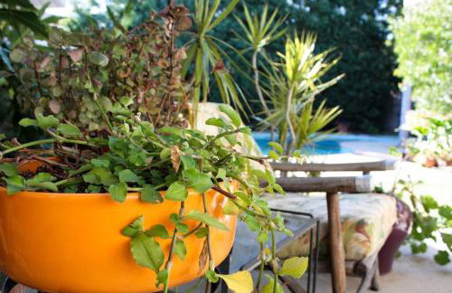 Bixby Beauty 50s Mod Long Beach - Foto 62