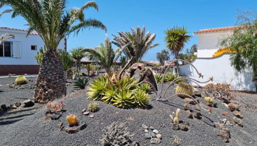Casa Ina in El Roque, El Cotillo - Foto 2, Garden