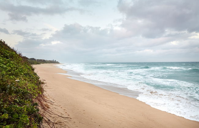 First Group Club Hacienda - Photo 50