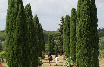 Fattoria la Loggia - Photo 38