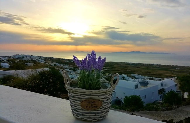 Panorama View - Foto 19