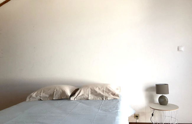 House With 2 Bedrooms in Pico da Pedra, With Wonderful sea View and Enclosed Garden Near the Beach - Foto 11