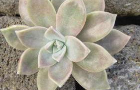 Casa da Arquinha - Photo 29