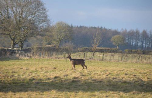 Middlehead Cottages - Foto 12