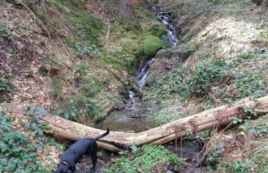 Ferienhaus Lyhs - Foto 65