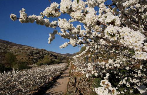 Casa Rural ARBEQUINA & Esquí La Covatilla - Foto 25