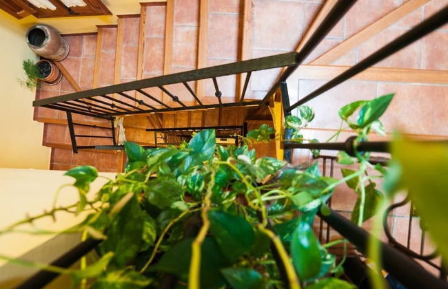 Casa Rural Rosa - Foto 24