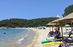 Backyard houses - Foto 32