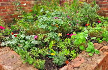 Storm Cottage - Foto 16