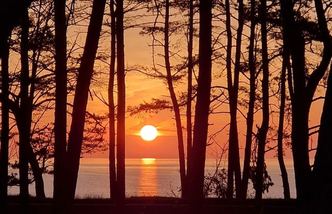 Villa Mar Baabe - Photo 38