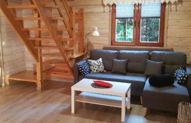 Domki nad Jeziorem Ołów - Foto 45