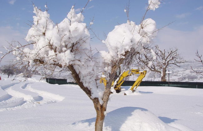 Agriturismo Le Bucoliche - Foto 30