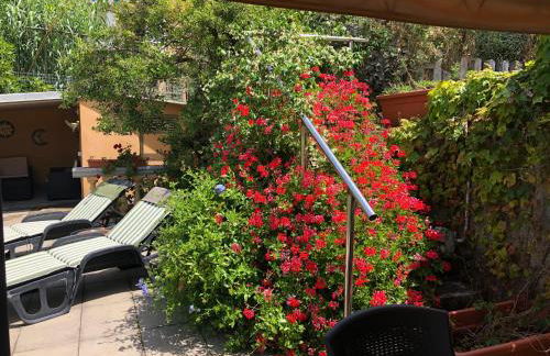 Niccolo I - Photo 14