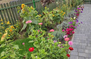 Zielona Przystań - Foto 15