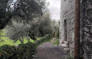 Cantinho da Pereira - Foto 16