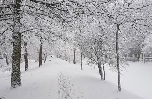Gästewohnung direkt an der Wallmauer - Foto 16