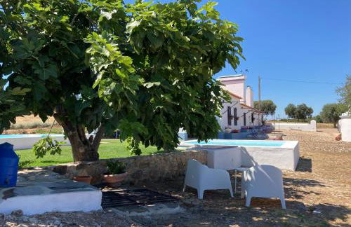 Monte do Pombal - Foto 11