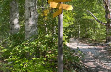 Lou Souleu - Foto 39