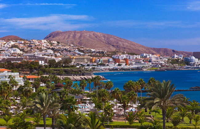 Deluxe Altemar - Foto 35