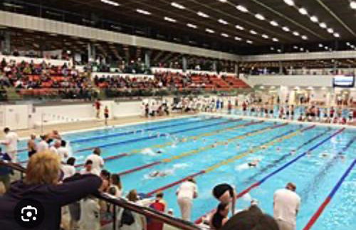 Central Dalkeith Road Apartment - Foto 15