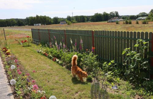 Zielona Przystań - Foto 12