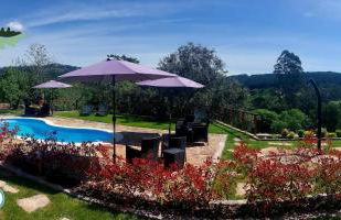 Green Paradise Glamping - Foto 23