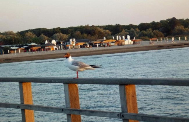 Characteristic Apartment in Codigoro With Pool - Foto 56