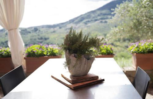 Società agricola Scerba srl - Foto 6