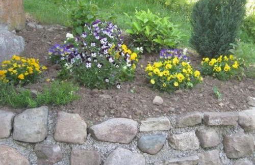 Gîte de charme dans les Vosges Saônoises - FR-1-583-412 - Foto 29