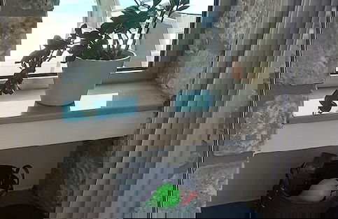 Cedar Bay Beachside Villas - Foto 23