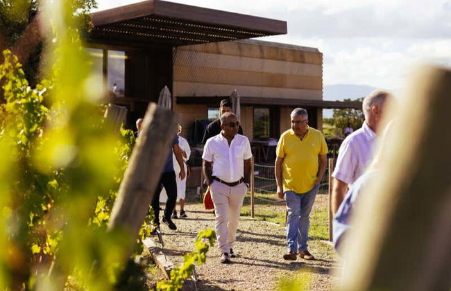 Tour in Logrono - Photo 5