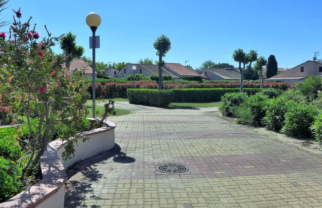 Lou Cantalou - Foto 21