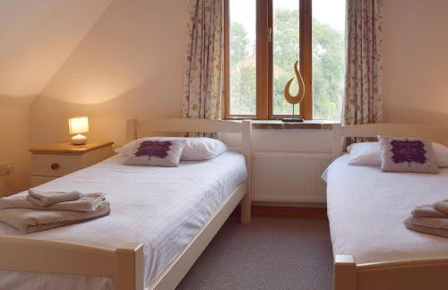 Sorrel - E4321 - Foto 12