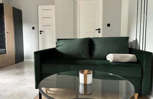 Dach Pod Sową Apartament GS - Foto 17