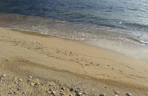 Apartments by the sea Prapratno (Peljesac) - 13500 - Foto 6