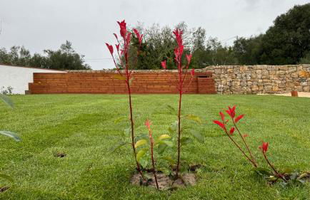 Casa de Alcaria - Foto 19