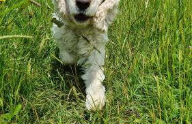 HighTide - 2 bed with parking, balcony & sea view. - Photo 59