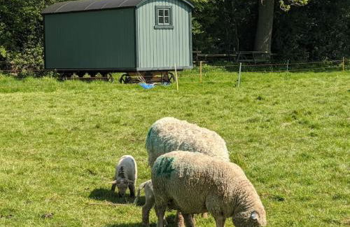 The Piggery - Foto 13