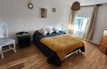 DOMAINE DE POULHARIES -Merlot - Foto 9