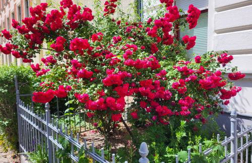 Ferienwohnung Gründerhaus - Foto 31