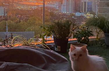 Cozy Flat with Stunning Views - Foto 37