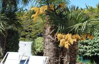 Villa DUXCAAR Avel Mor - Photo 46