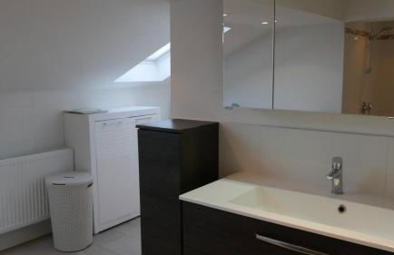 Großer Elefant - Foto 23