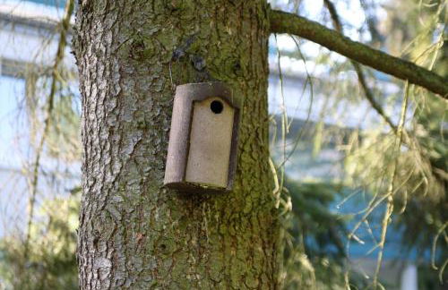 Family Suites & Parking - Foto 52