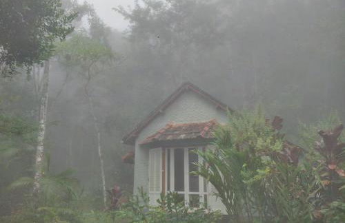 Chalé Gaia - Hospedagem Itatiaia - Photo 11