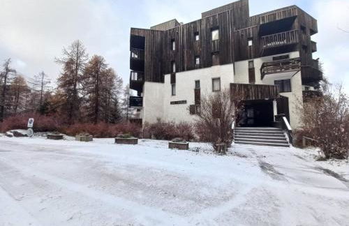 Les écureuils du Méale - Photo 4