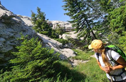 Forestside House Gacka with relax area - Foto 29