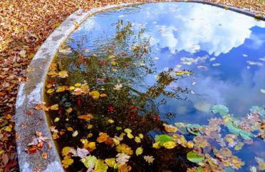 CORTE dei SANTI Cortina 2026 - Foto 10