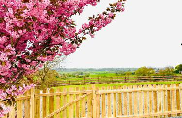 Robins Cottage - Foto 13